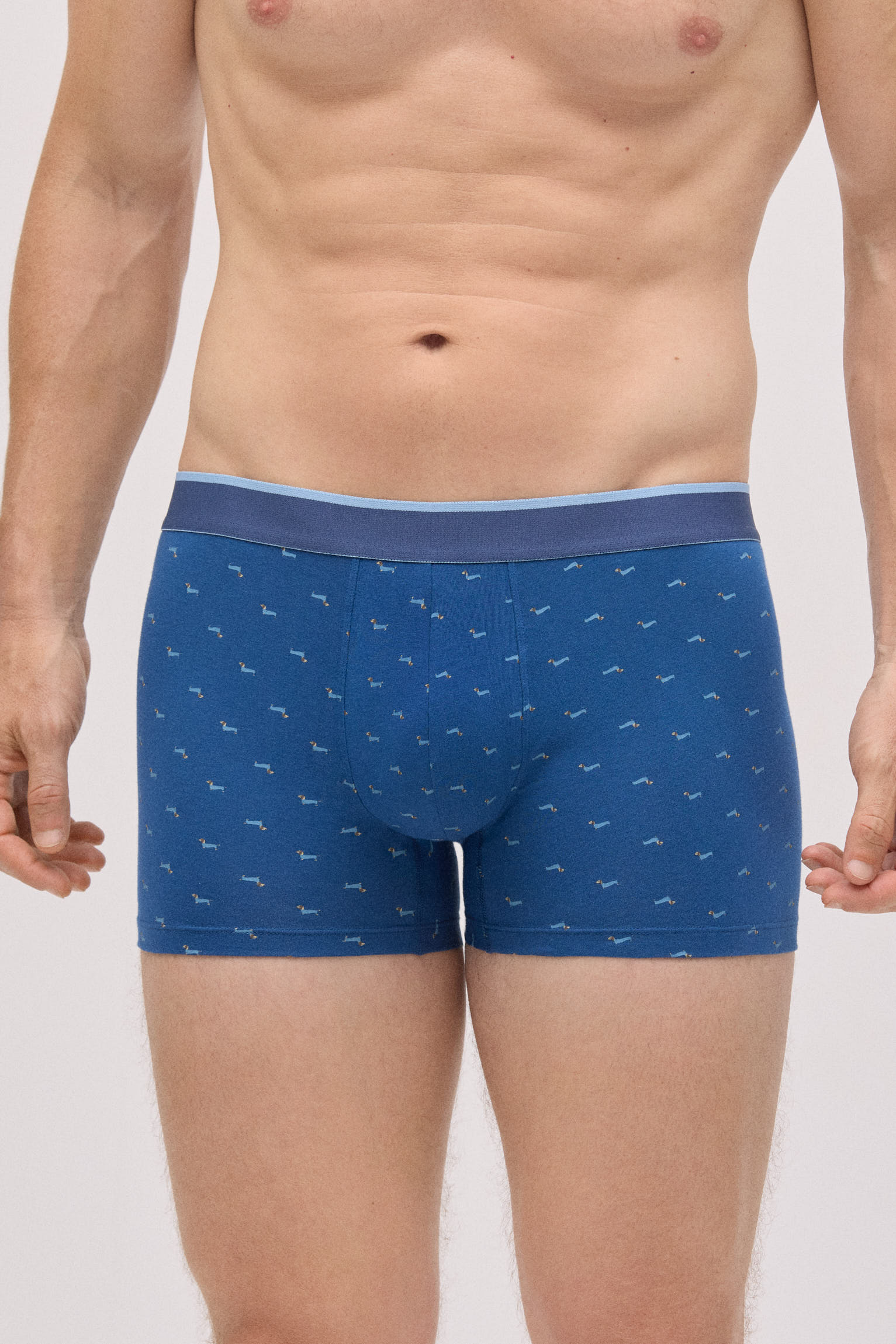 20430-2-pack-boxer-y-calcetin-estampado-perro-salchicha