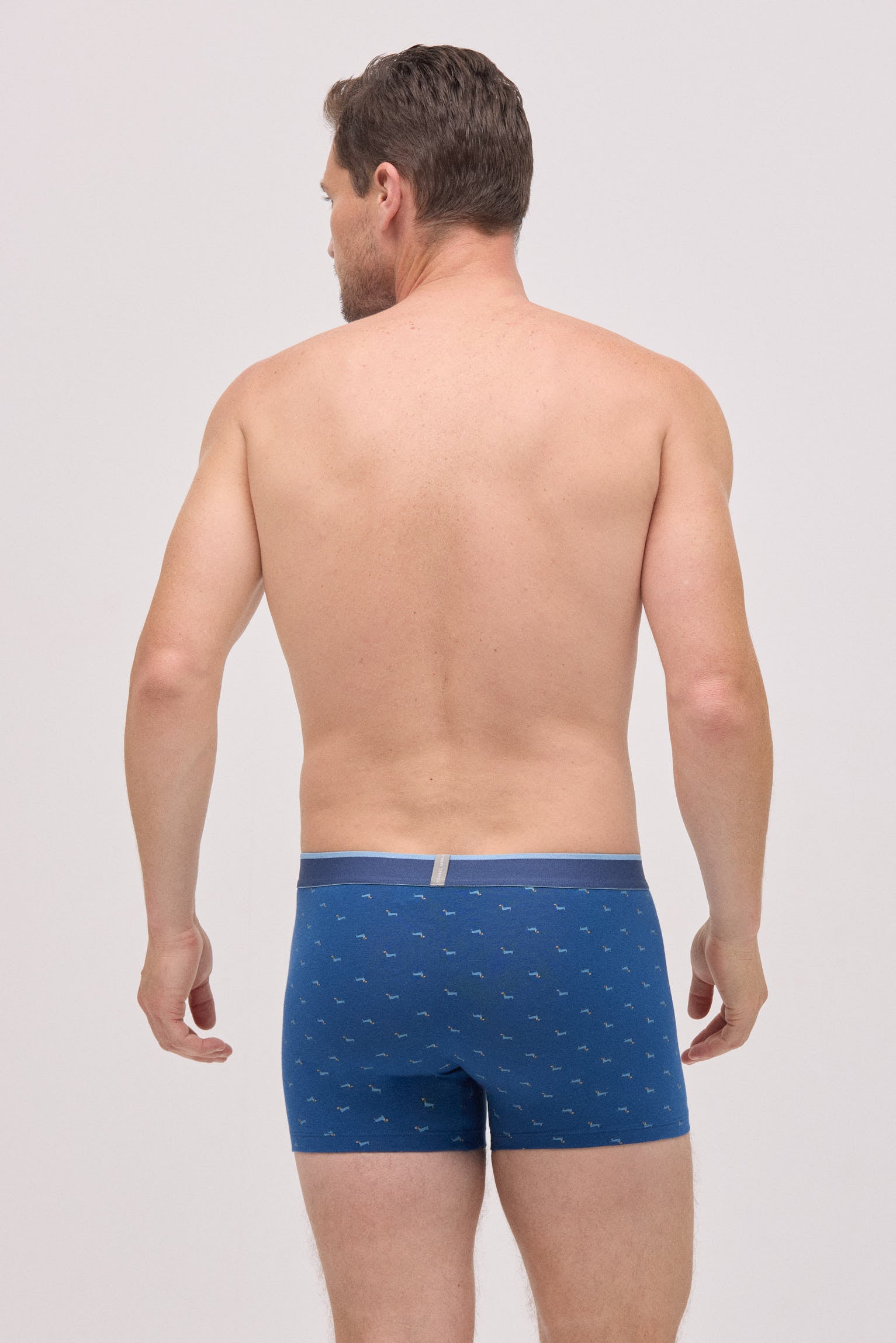 20430-8-pack-boxer-y-calcetin-estampado-perro-salchicha