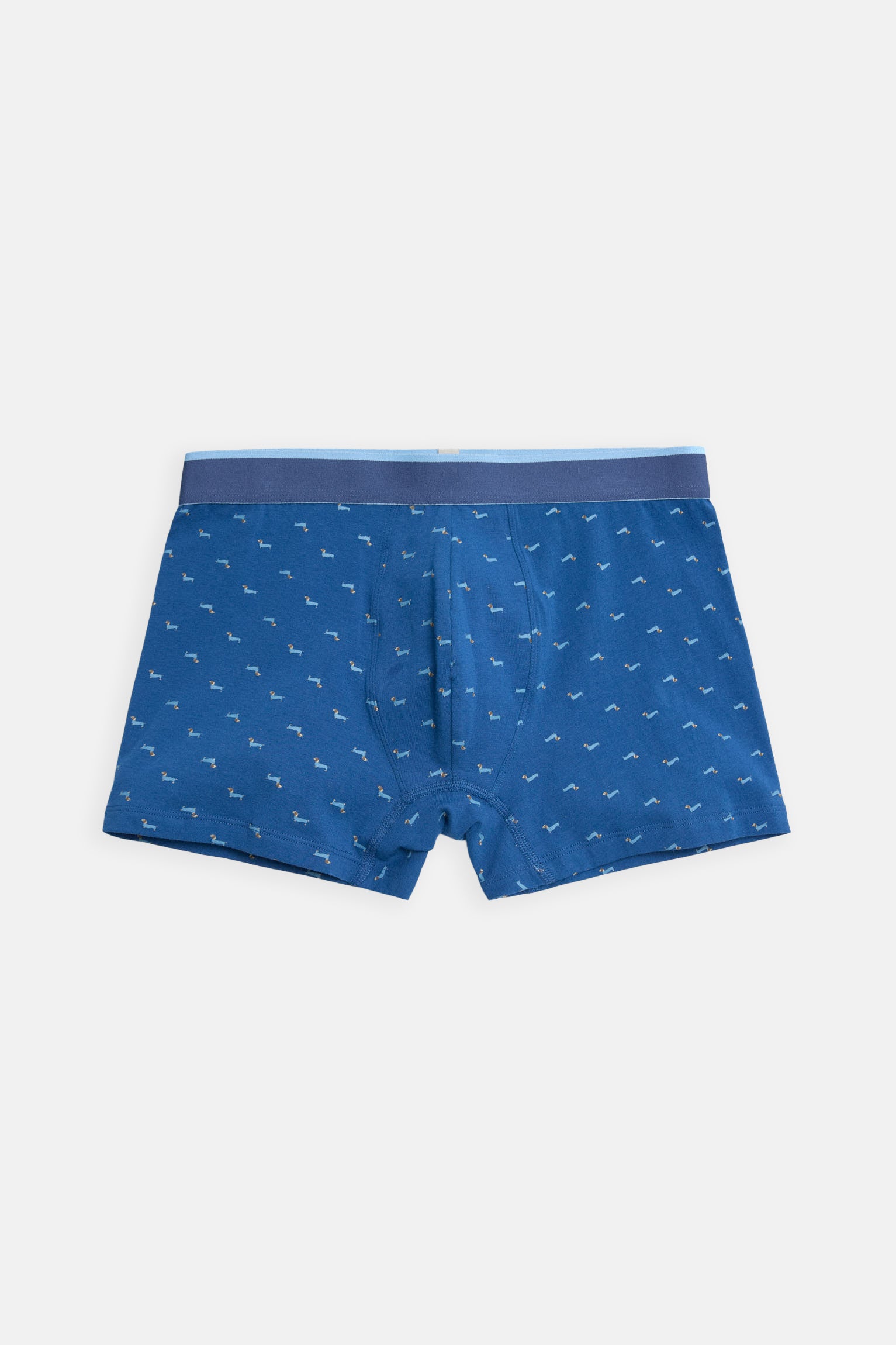 Boxer estampado e pacote de meias Dachshund