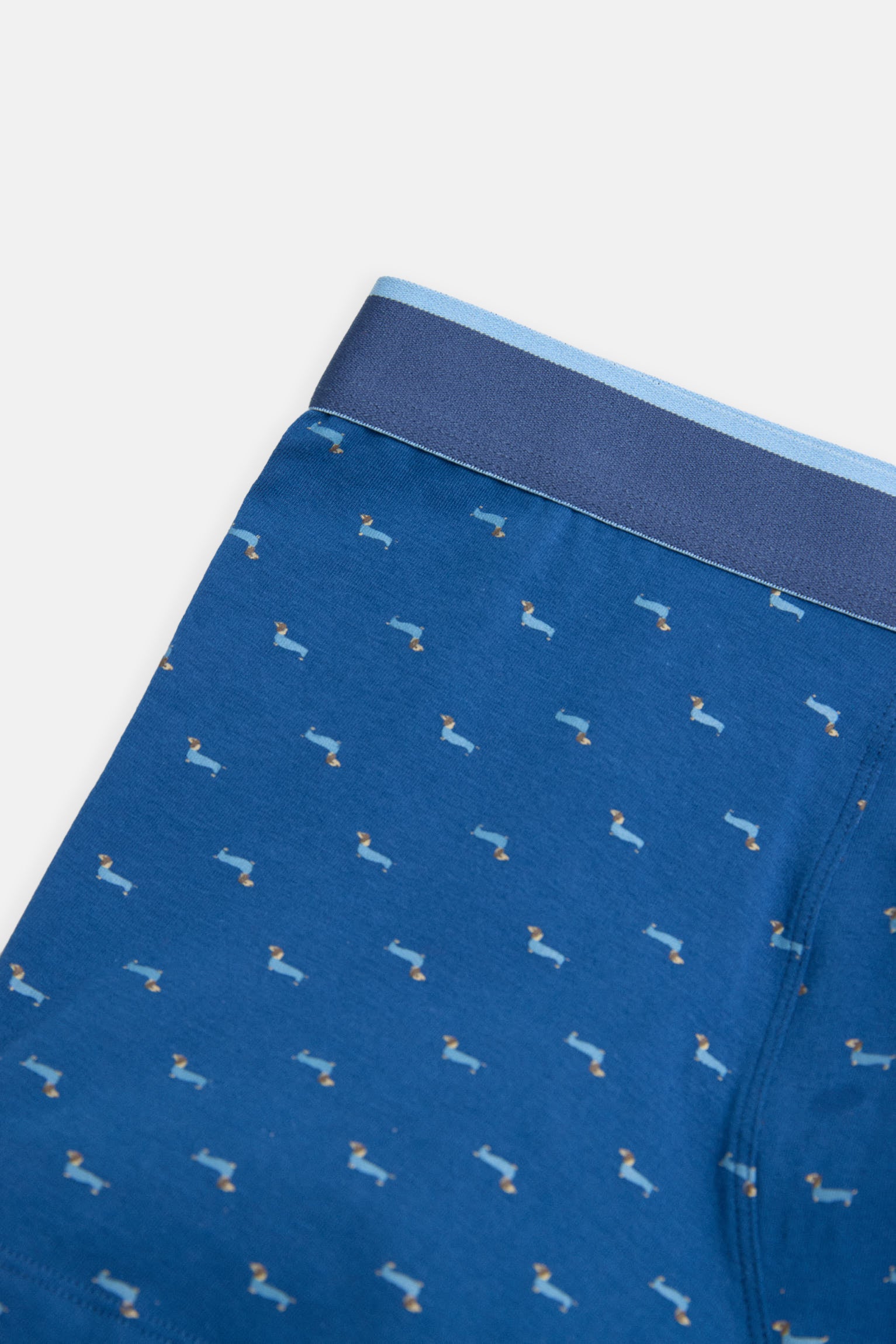 Boxer estampado e pacote de meias Dachshund