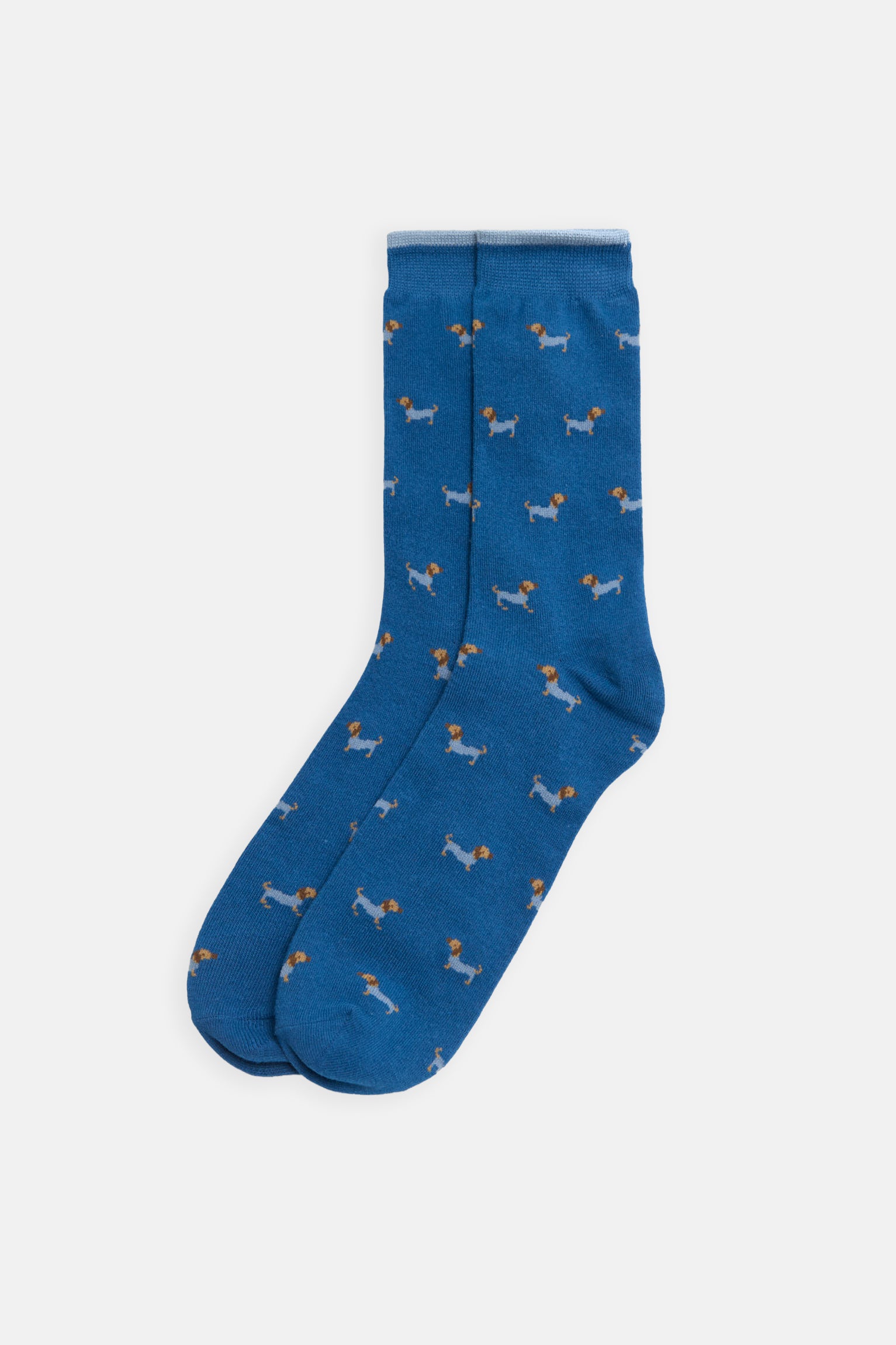 Boxer estampado e pacote de meias Dachshund
