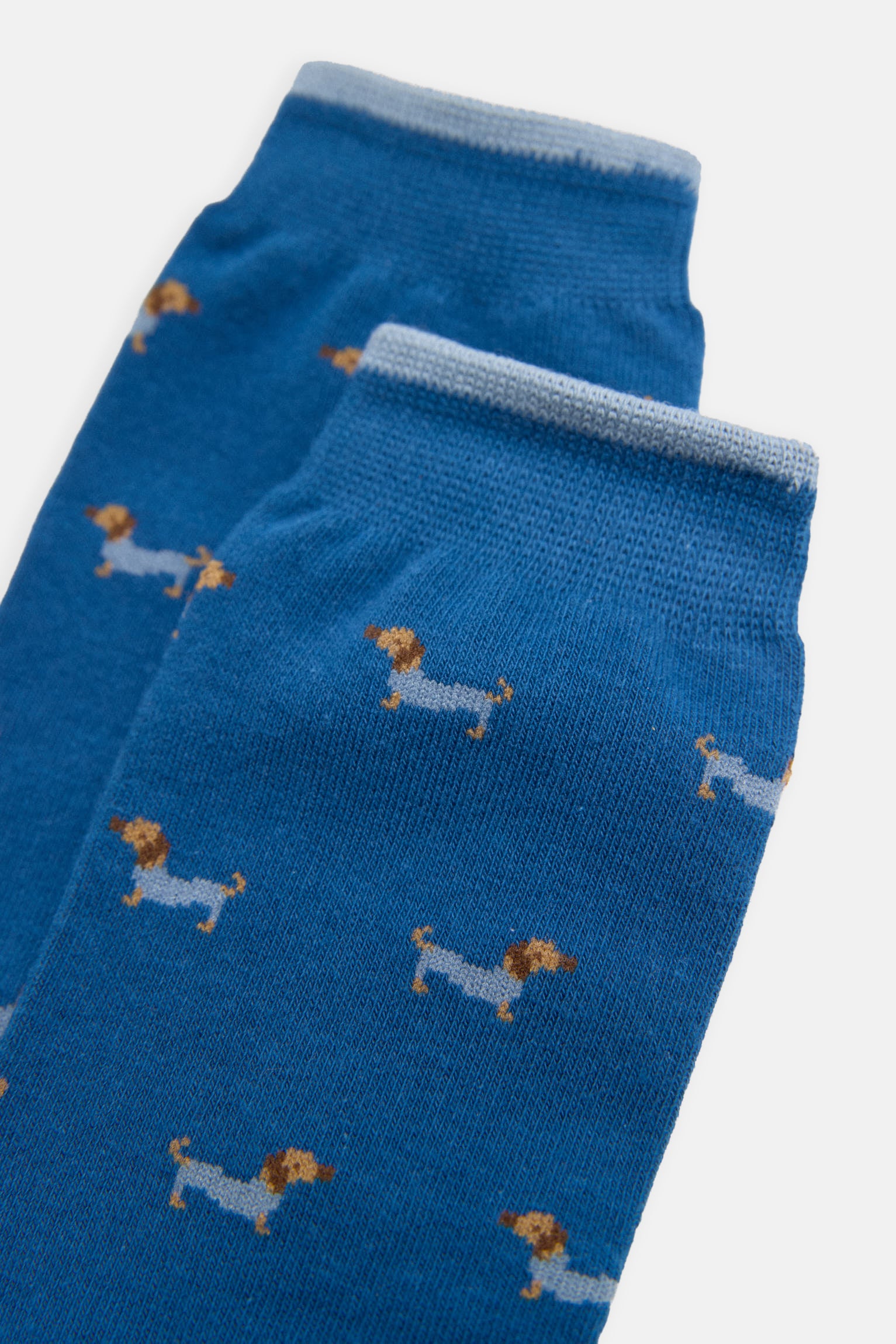 Boxer estampado e pacote de meias Dachshund