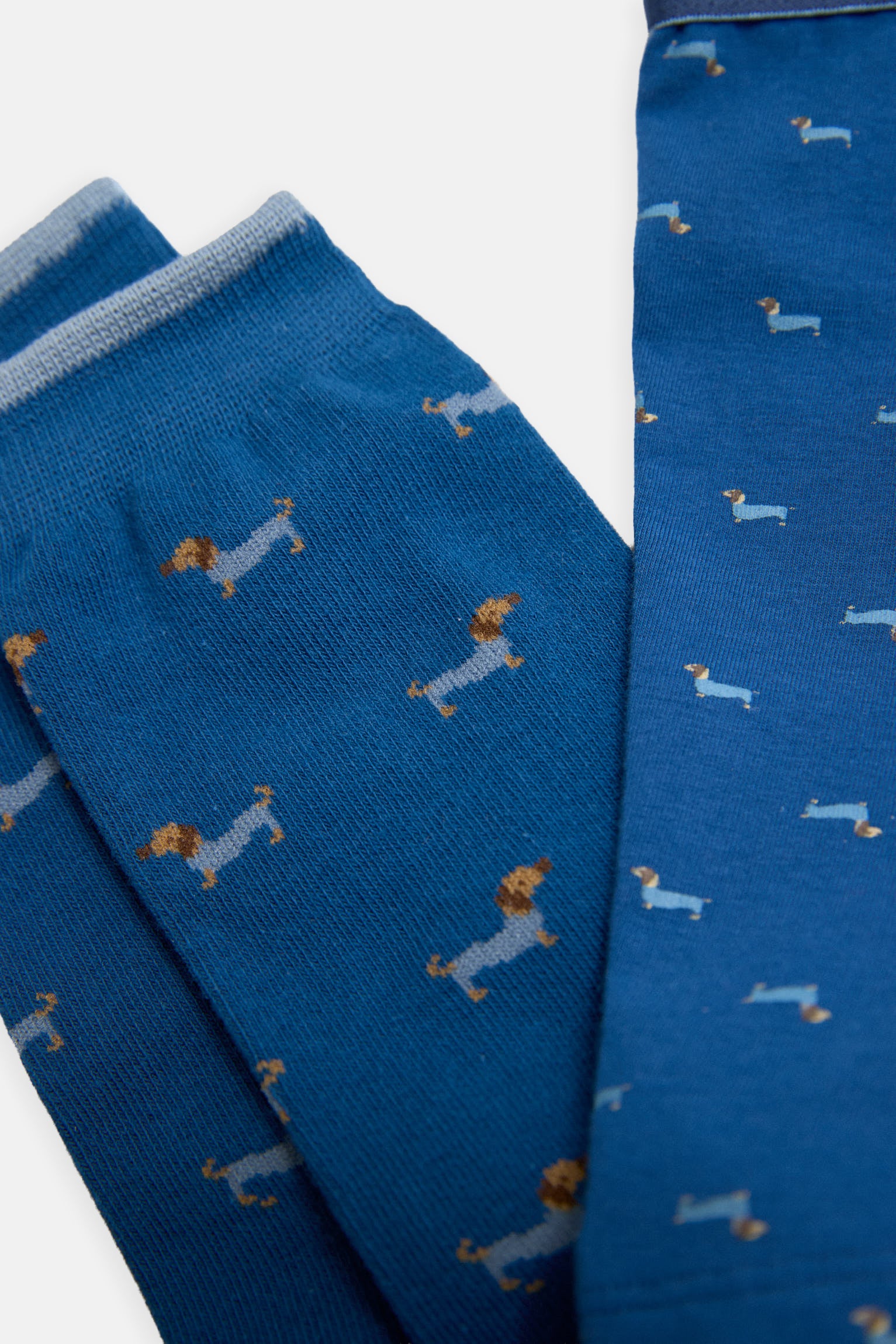 Boxer estampado e pacote de meias Dachshund