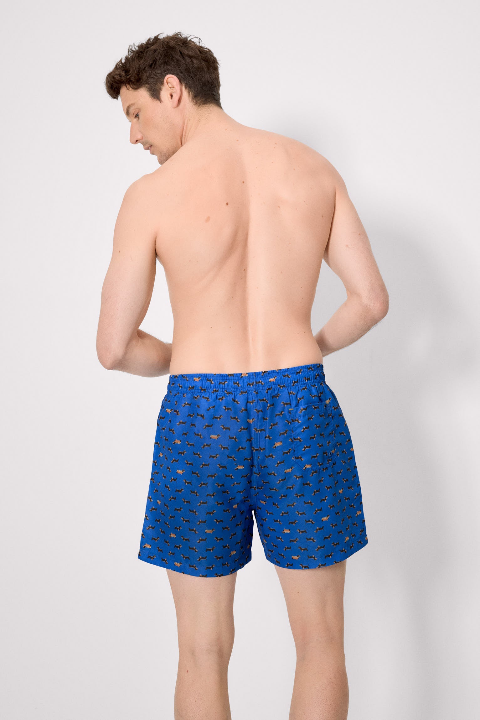 Bañador medio estampado perros salchichas azul - Ysabel Mora