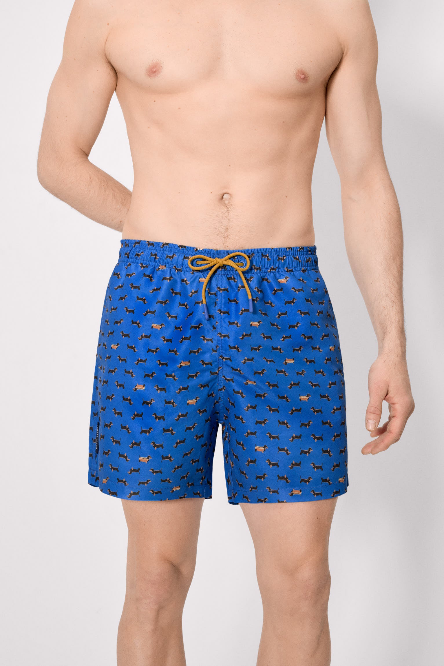 Bañador largo estampado perros salchicha azul - Ysabel Mora
