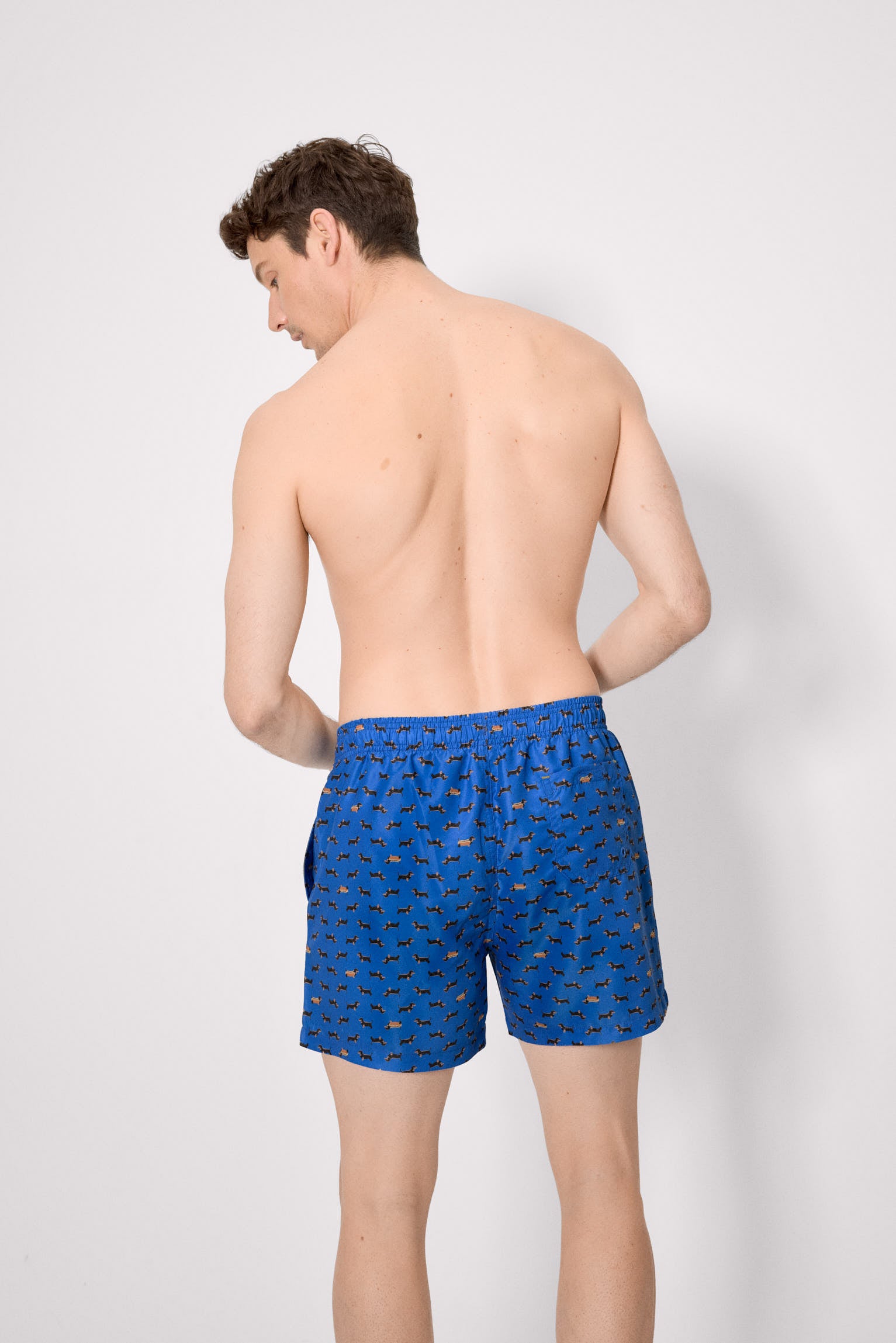 Maiô longo com estampa de dachshund azul