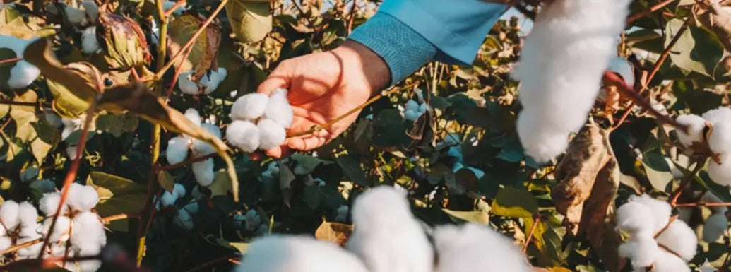 Sostenibilidad, más que una moda, una necesidad