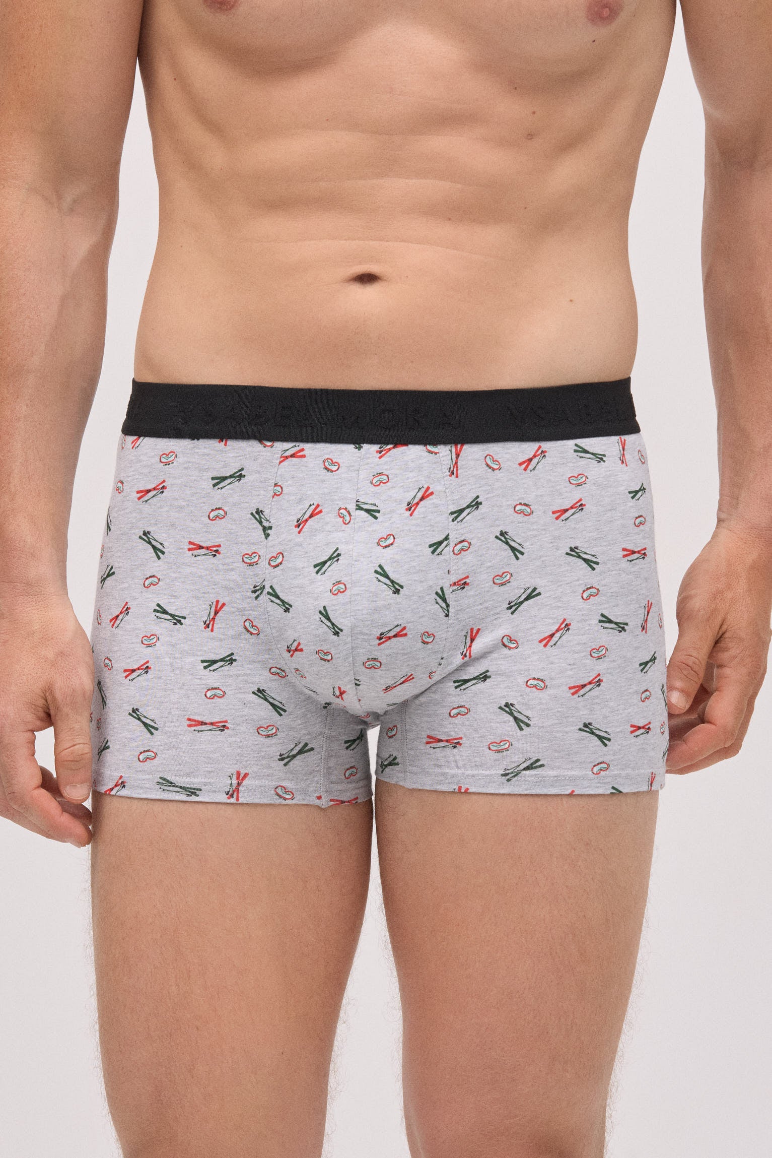 Pacote com 6 boxers estampados