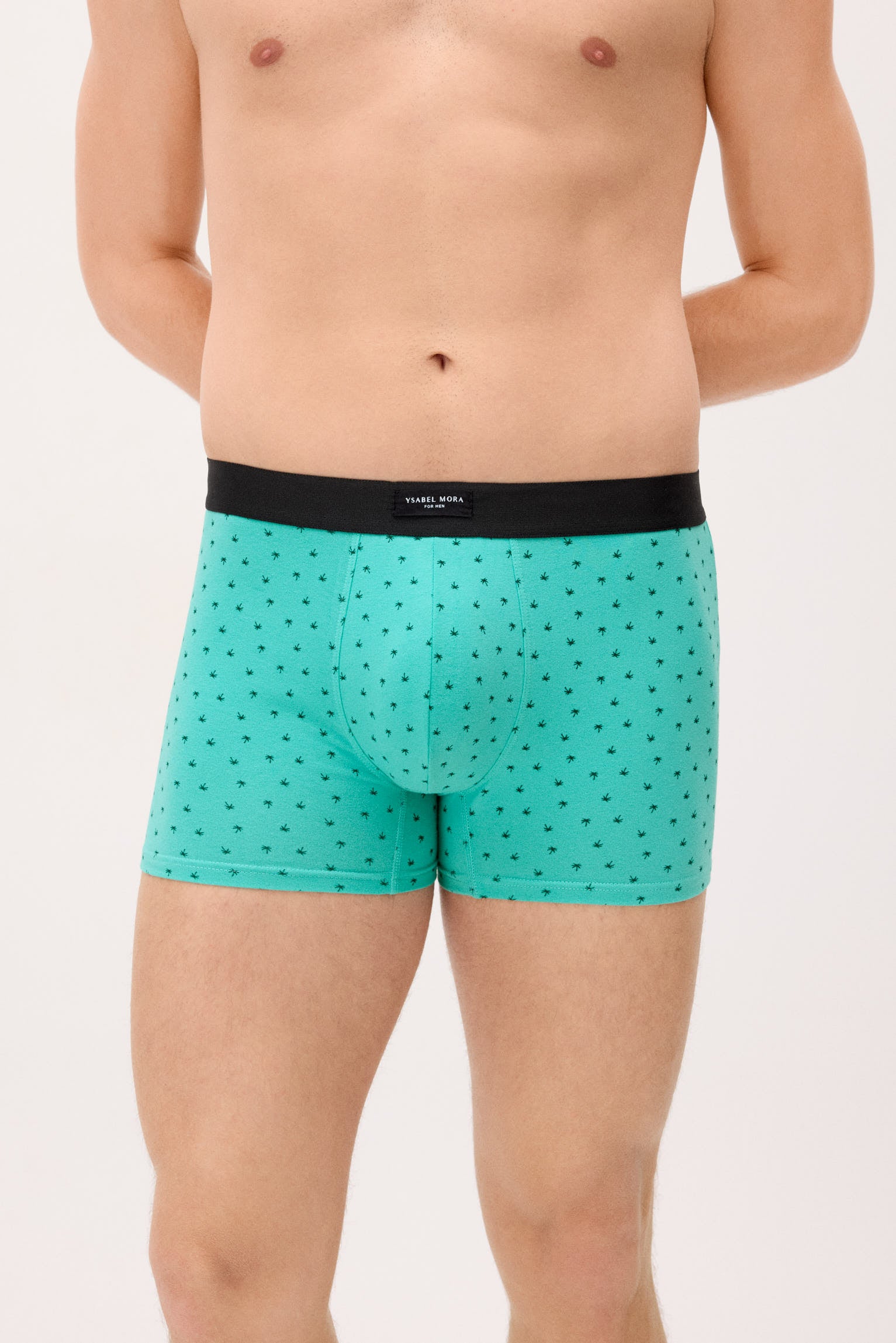 Conjunto de 2 cuecas boxer com estampas sortidas: caravana e palmeira.