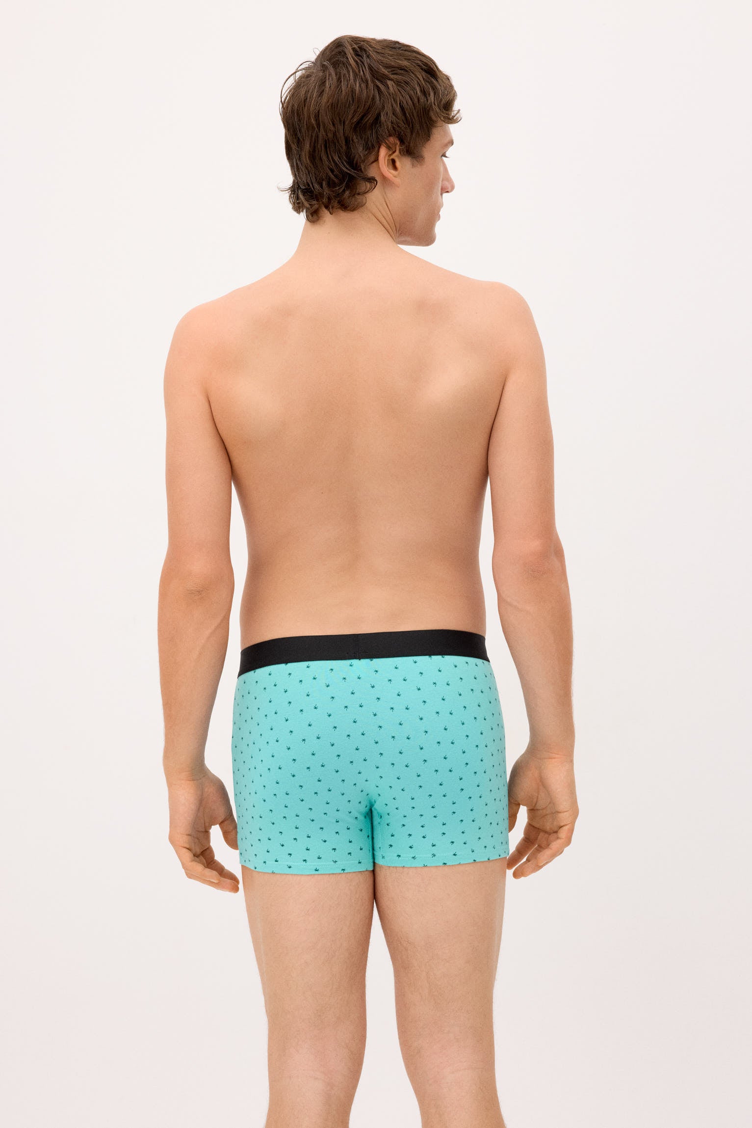 Conjunto de 2 cuecas boxer com estampas sortidas: caravana e palmeira.