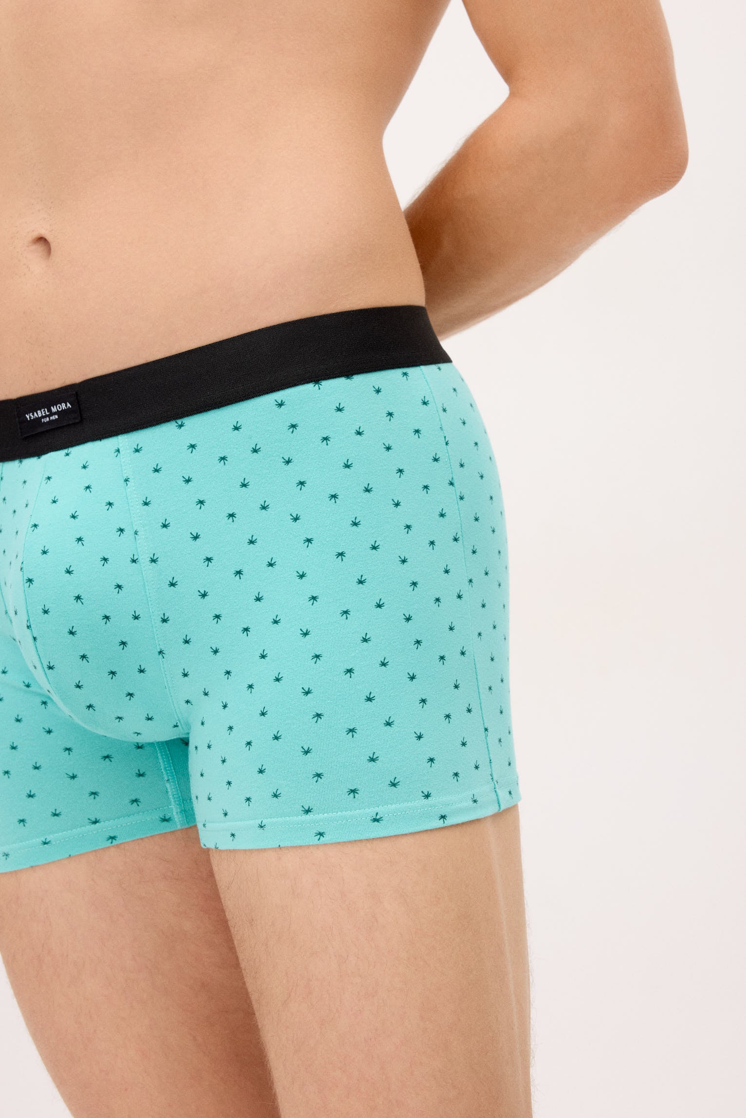 Conjunto de 2 cuecas boxer com estampas sortidas: caravana e palmeira.