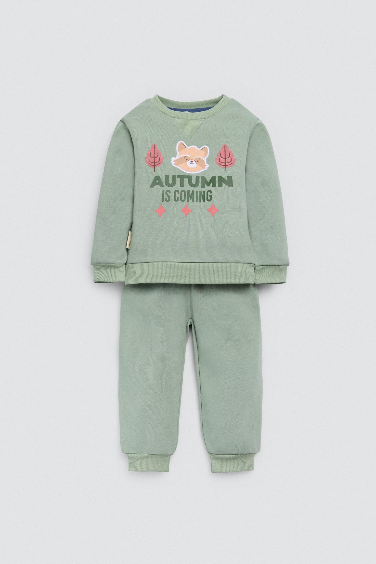 25603-1-conjunto-bebe-sudadera-jogger-autumn-buddy