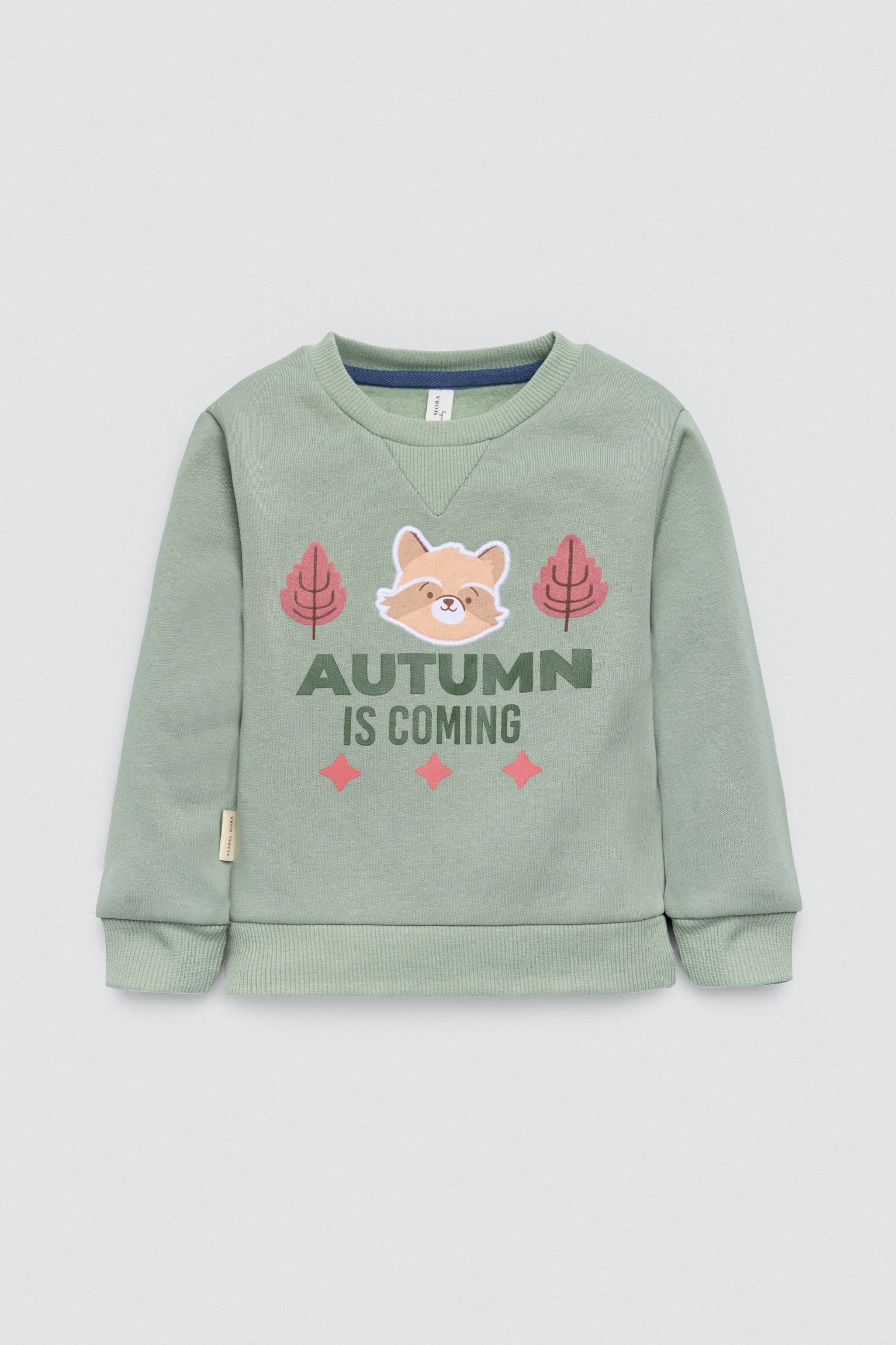 25603-3-conjunto-bebe-sudadera-jogger-autumn-buddy