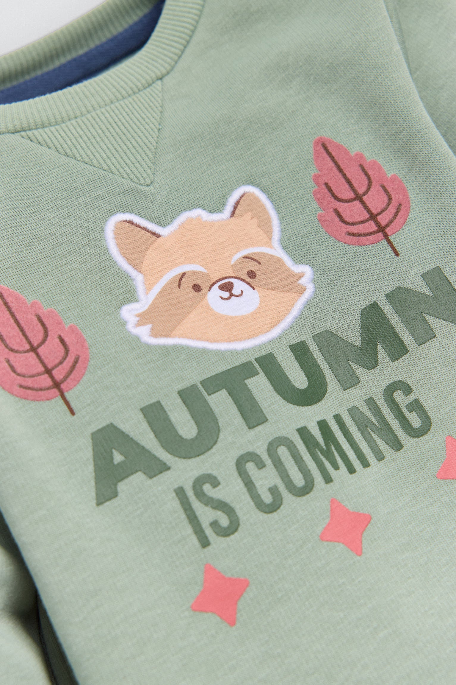 25603-4-conjunto-bebe-sudadera-jogger-autumn-buddy