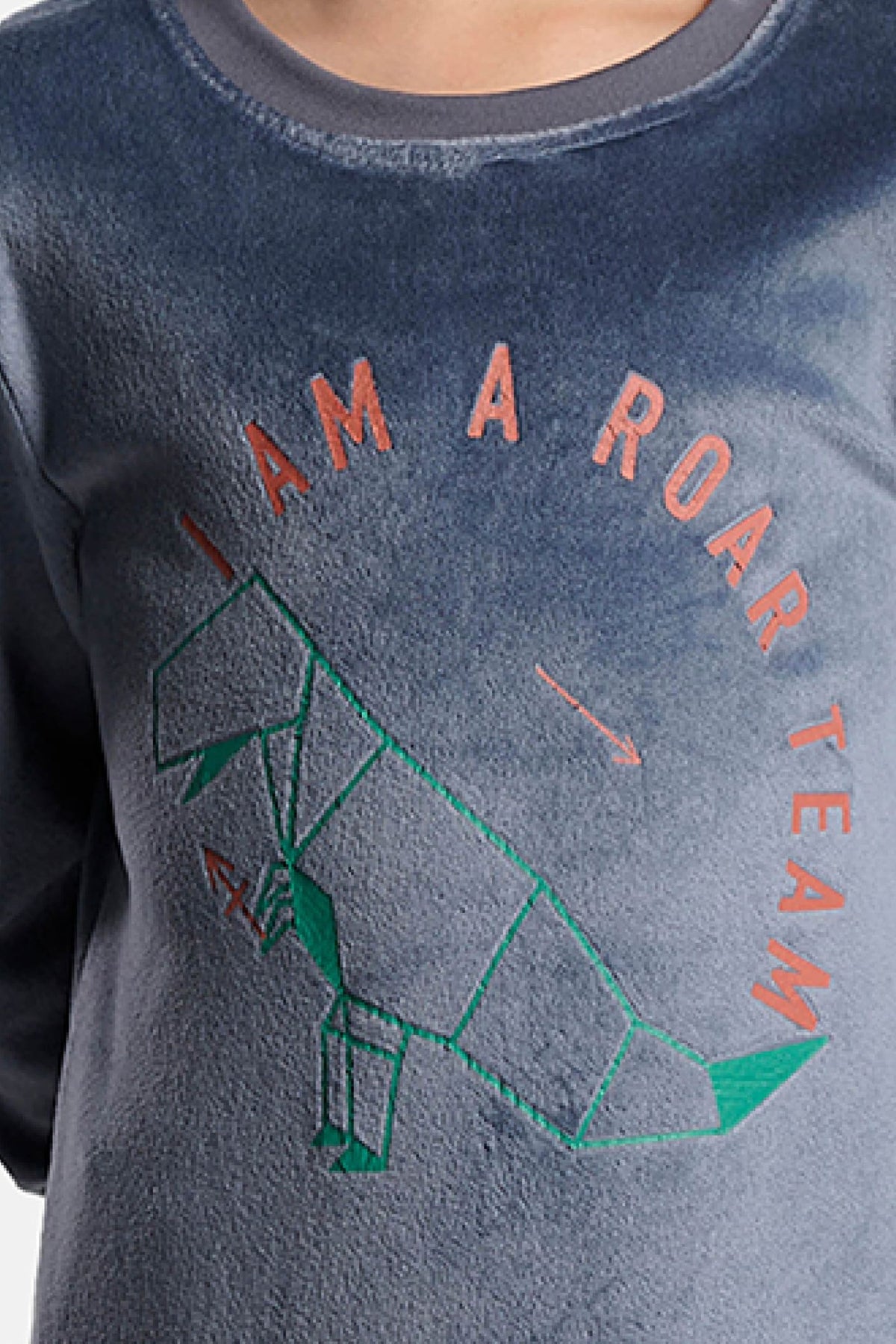 Pijama comprido de menino em veludo estampado de dinossauros I am a roar team