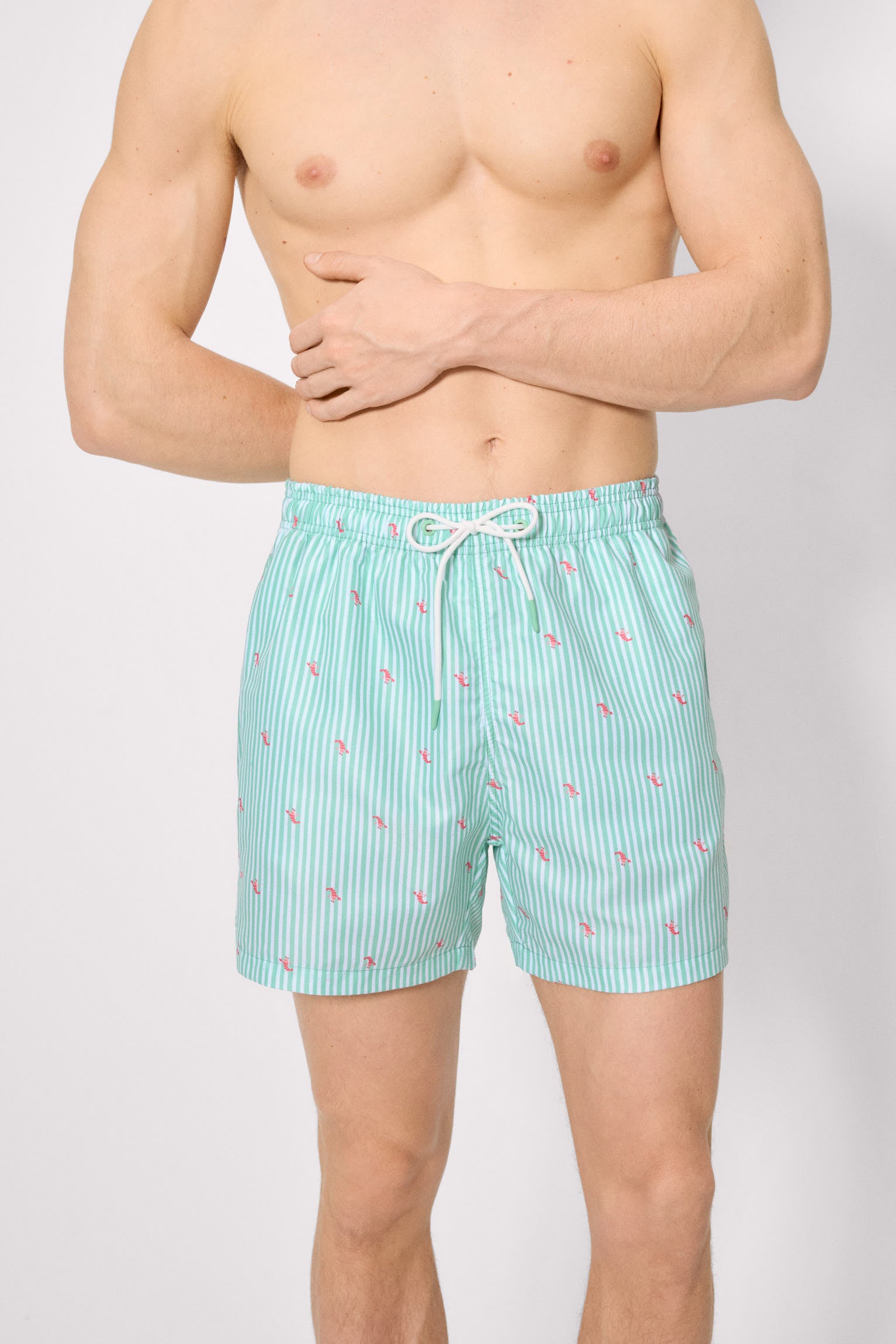 Maiô verde de comprimento médio com estampa listrada e mini lagostas.