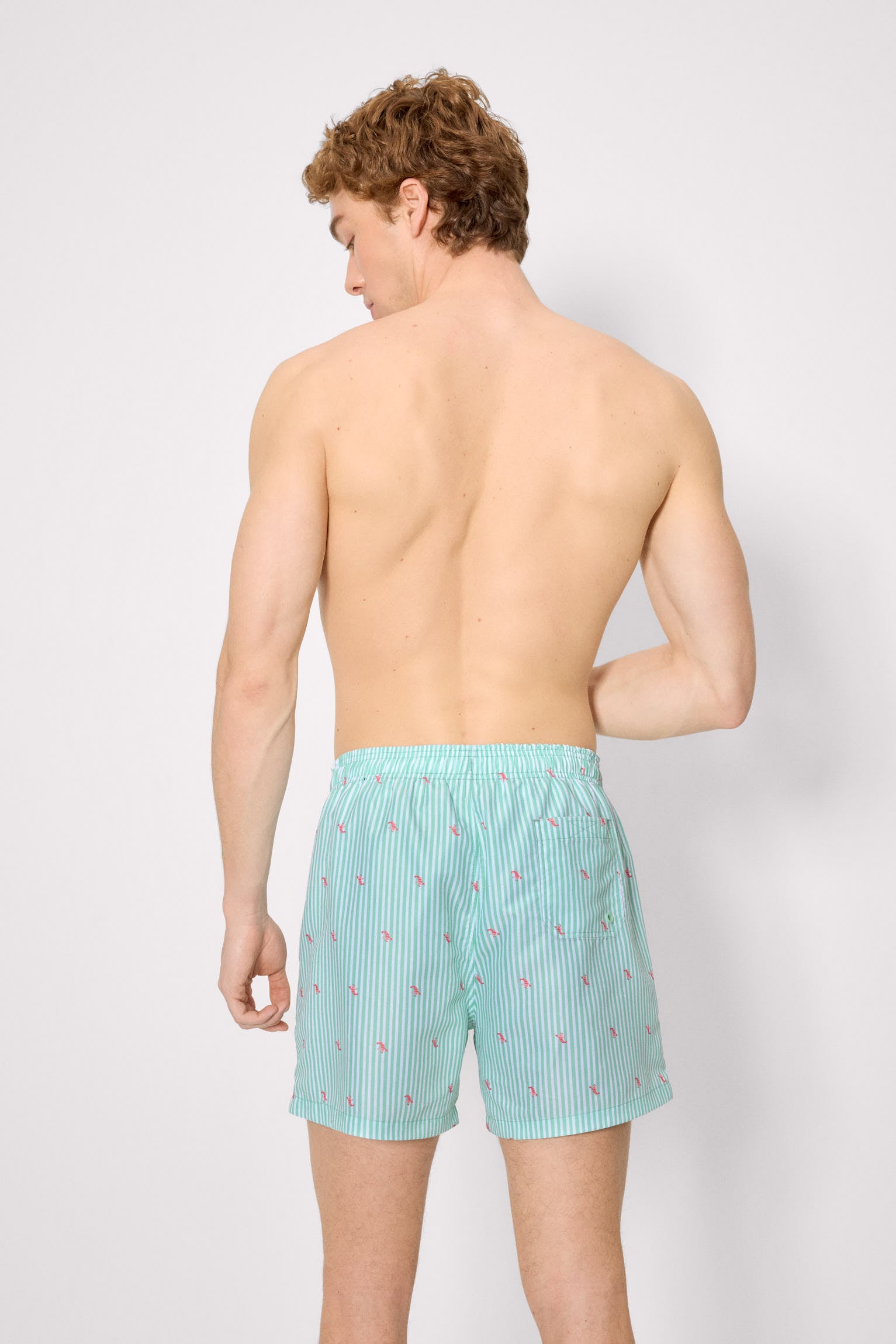 Maiô verde de comprimento médio com estampa listrada e mini lagostas.