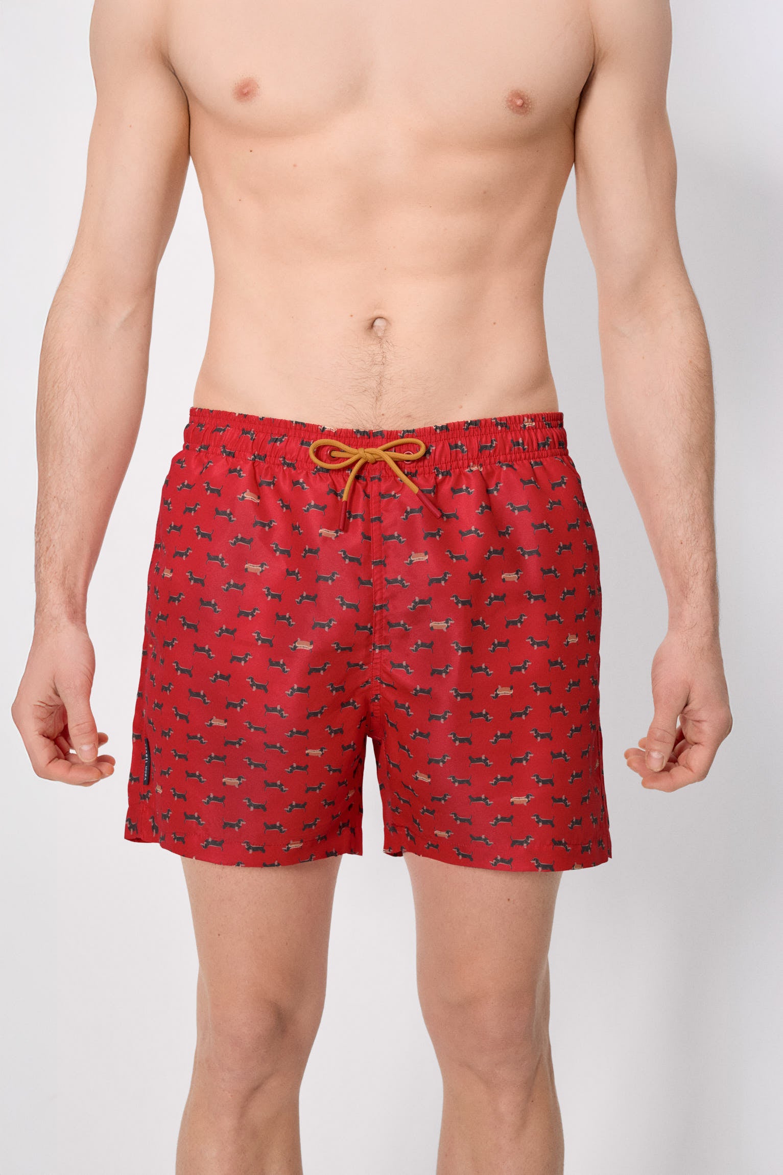 Maiô curto com estampa de dachshund vermelho