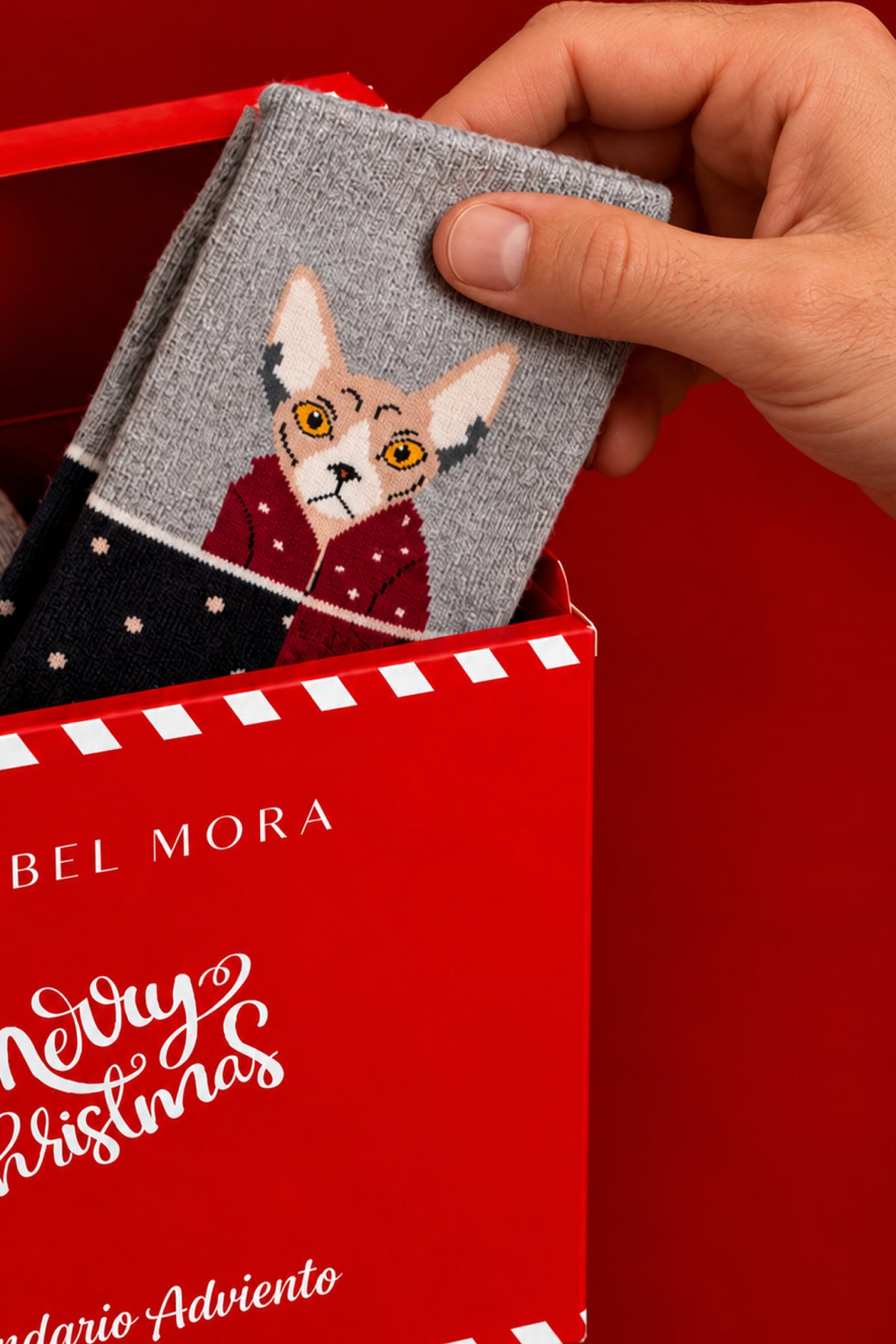 PRÉ-VENDA Calendário do Advento Essential 12 dias para homem